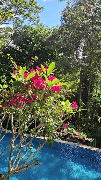 A quiet moment at The Red Hen Homestead — the lush one-hectare property retreat at Mt. Banoy, Batangas
