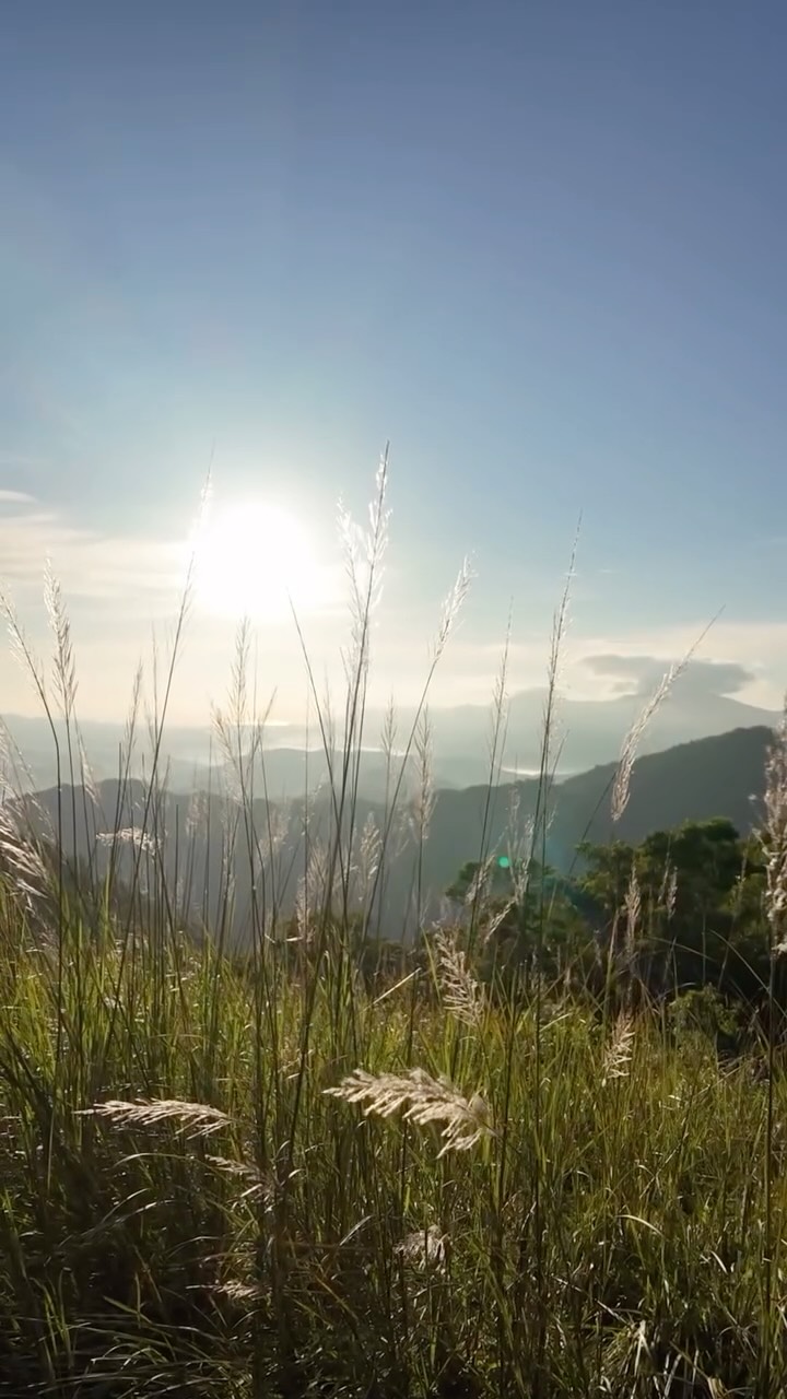 Tall grass and sun flare at the Mt. Banoy summit, with panoramic views of Batangas Bay and mountain ranges