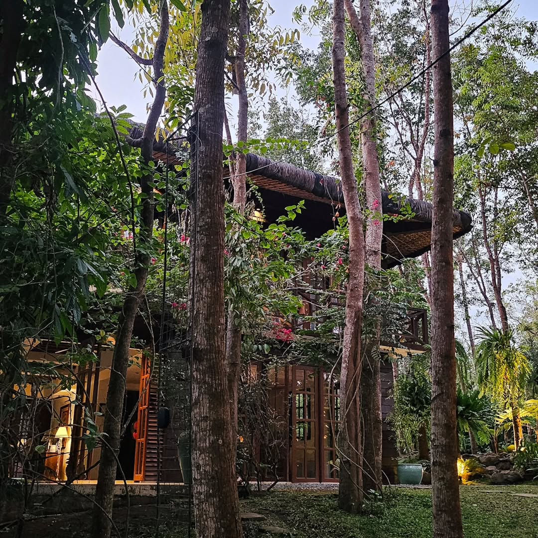 The Filipino heritage farmhouse seen through tropical forest trees at dusk, warm lights glowing within